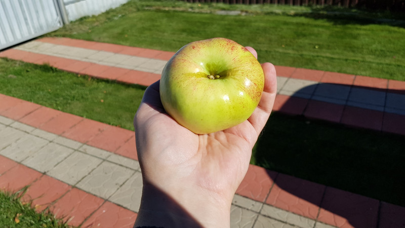 20180915_142502.jpg