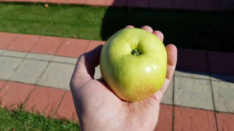 20180915_142520.jpg