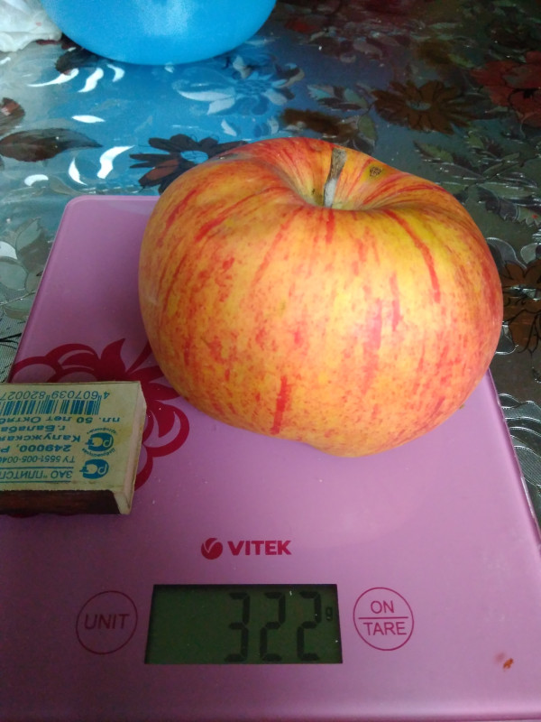 1537107003121-1072019610.jpg