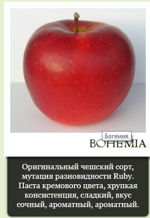 Богемия.jpg