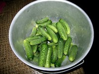 IMG_5361.JPG