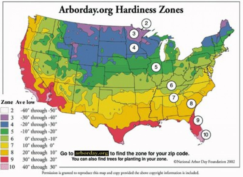 indiana-mostly-zone-5-and-6-in-southern-indiana-inspiration-for-pertaining-to-garden-planting-zones-garden-planting-zones.jpg