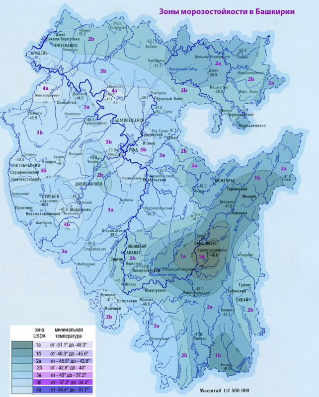 Зоны зимостойкости в Башкирии_12.jpg