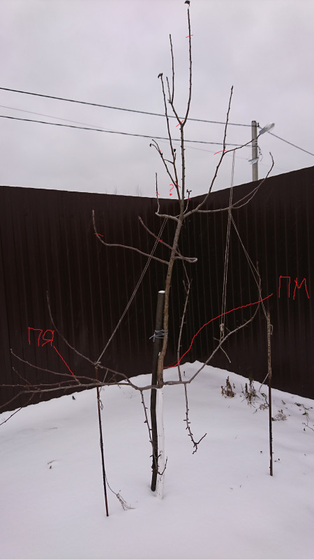 DSC_1498.jpg