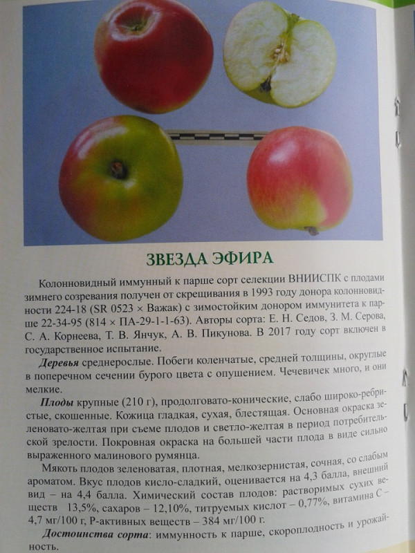 Звезда Эфира.jpg