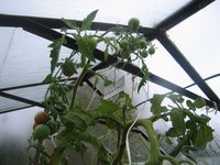 IMG_5519.JPG