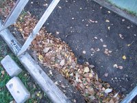 IMG_5540.JPG