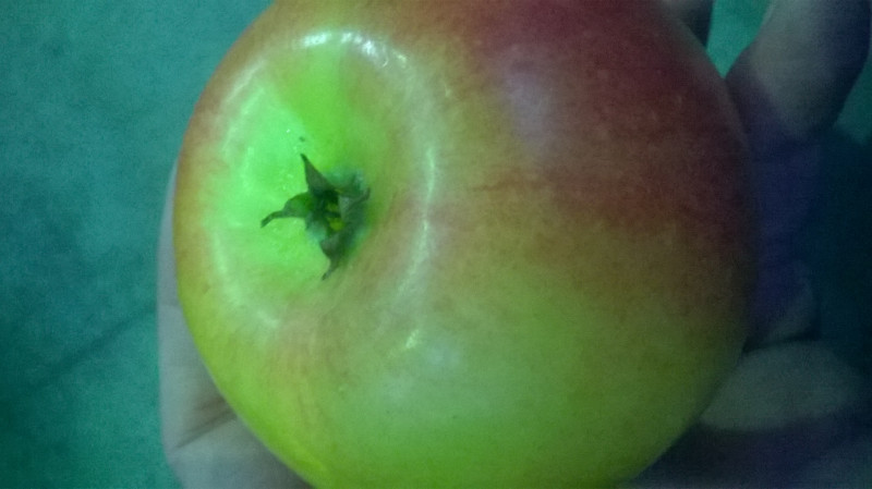 Вот это яблоко, которое не удалось угадать. Бывает более ярко окрашено.