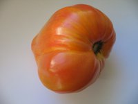 Красавец3.jpg