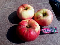 IMG_20130807_112715.jpg