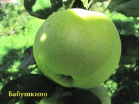 Бабушкино_0410.jpg