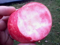 IMG_20131005_163138.jpg