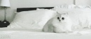 m_618b8fd6c5.jpg