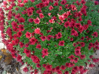 DSCN8062.JPG