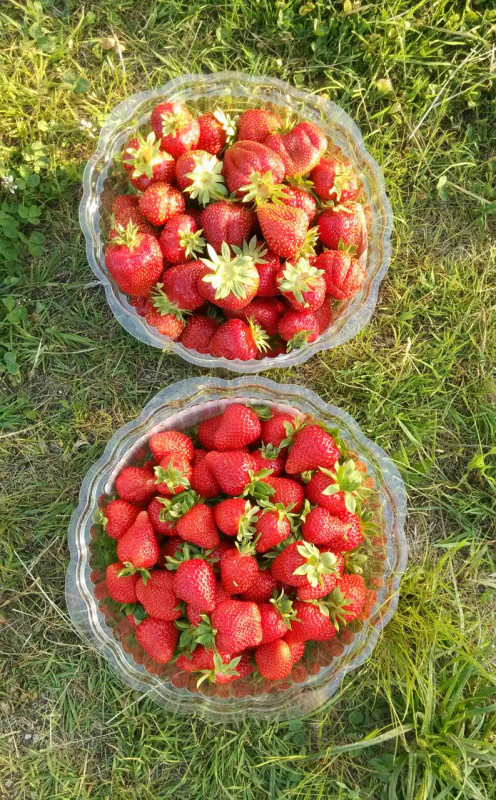 IMG-20190611-WA0000.jpg