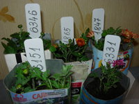 DSCN8154.JPG