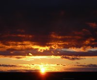 DSCN7146.JPG