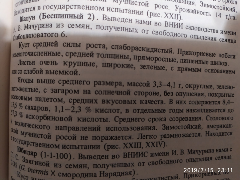 IMG_20190715_231159.jpg