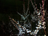 28032012187.jpg