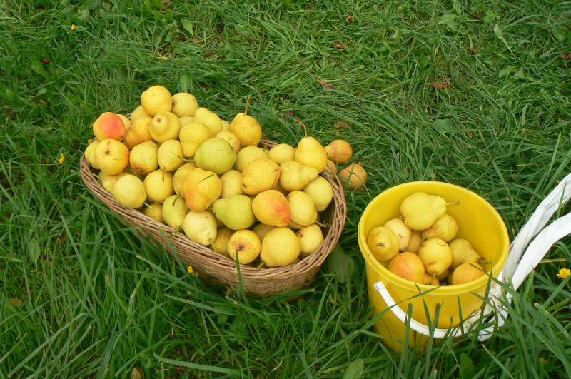 P1460320.JPG