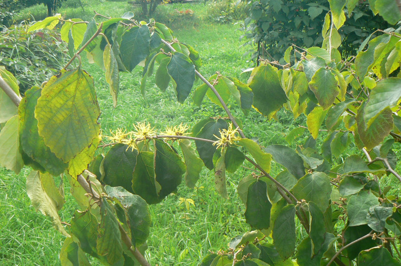 P1460221.JPG