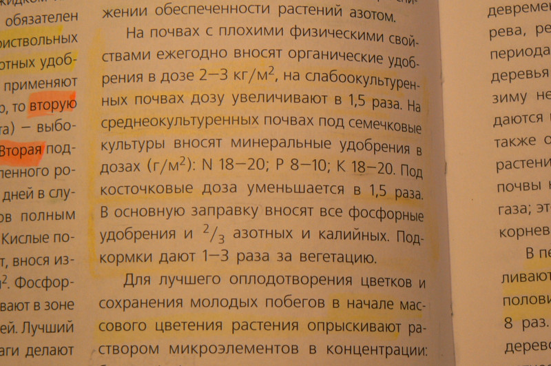 P1460524.JPG