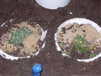 DSCN8235.JPG