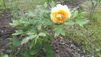 IMAG0227.jpg