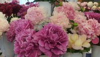 20130613_170658 - копия.jpg