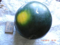 CIMG0946.JPG
