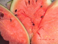 CIMG0955.JPG