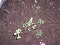 DSCN4955.JPG