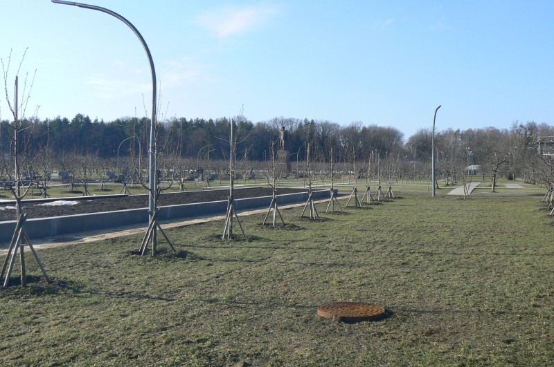 P1480932.JPG