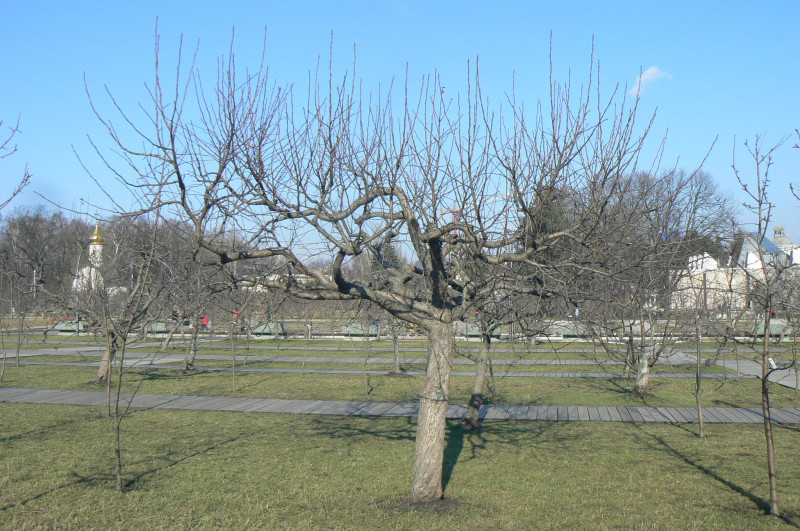 P1480946.JPG