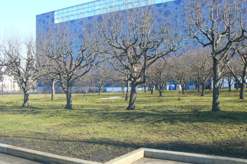 P1480948.JPG