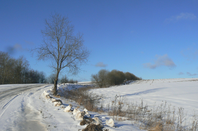 P1490025.JPG