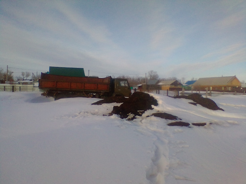 IMG_20200301_172449.jpg