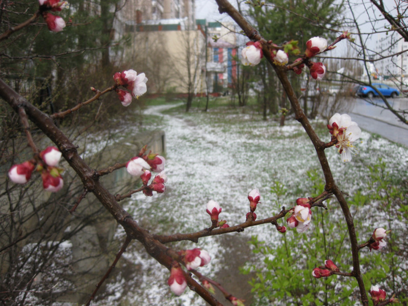 IMG_8902.JPG