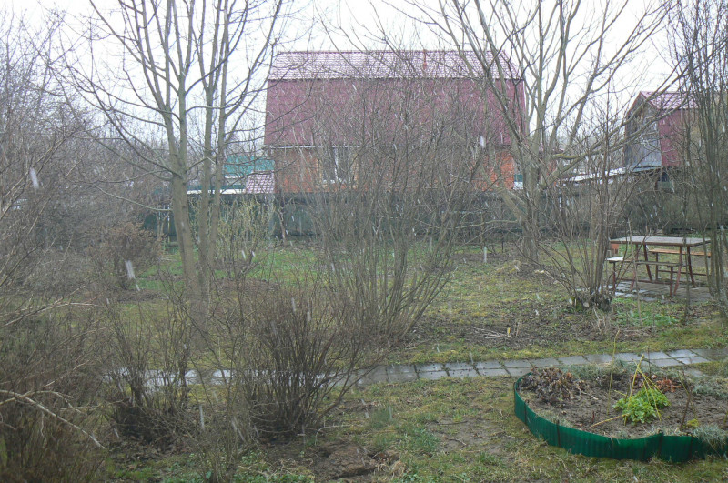 P1490832.JPG