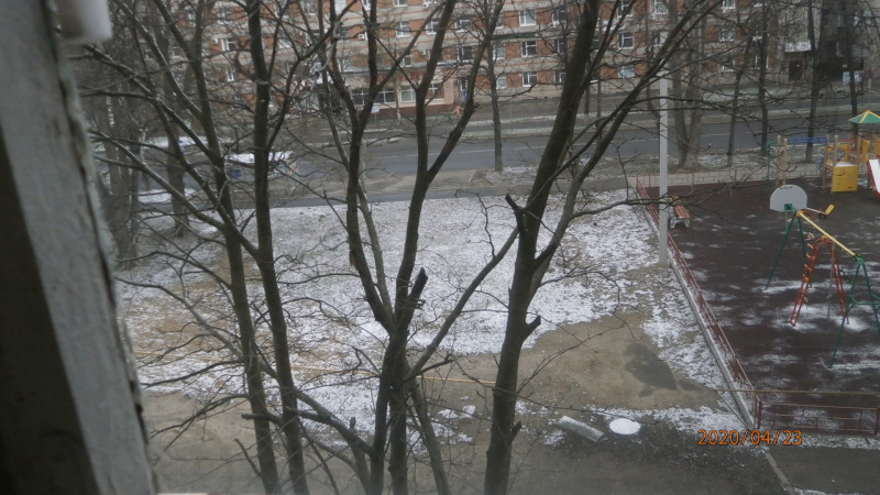 P4234872.JPG