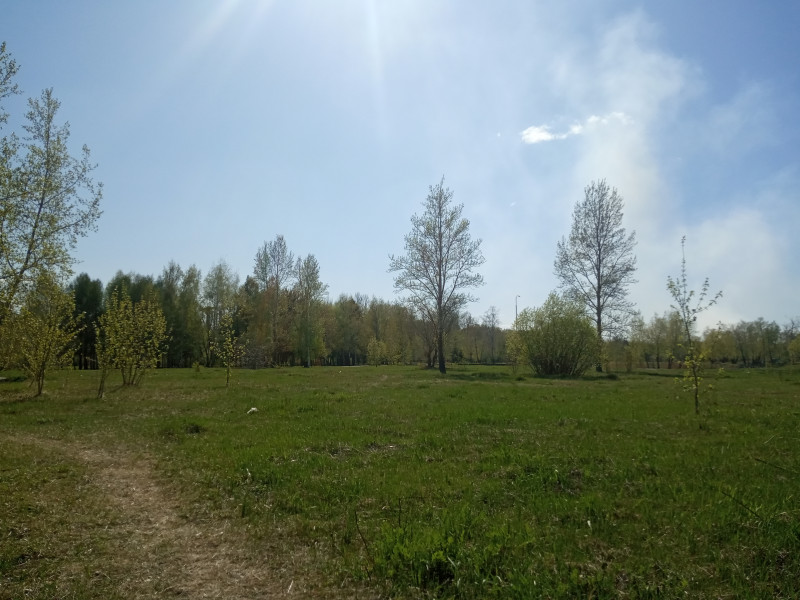 IMG_20200425_151130.jpg