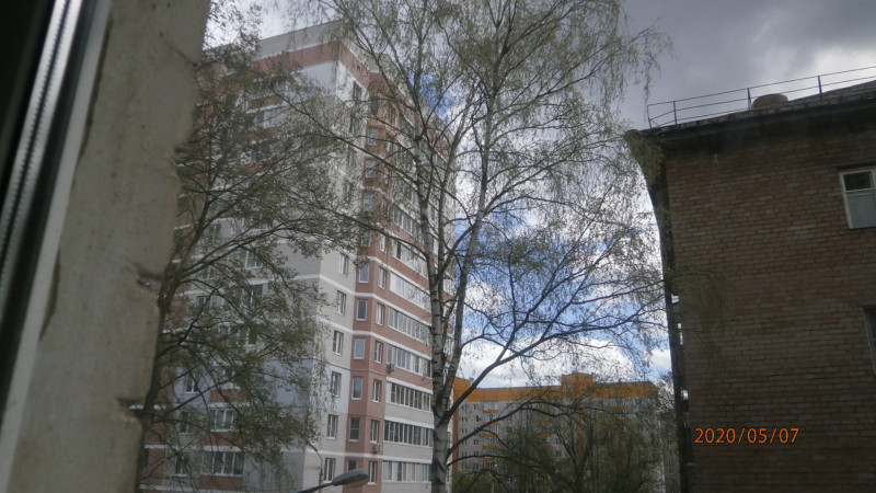 P5074943.JPG
