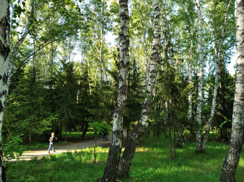 IMG_20200507_181237_1.jpg