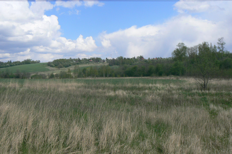 P1500477.JPG