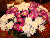 DSC08023.JPG
