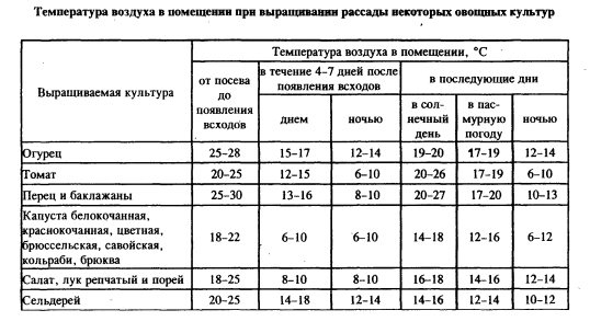 Овощи на даче - Страница 2 File