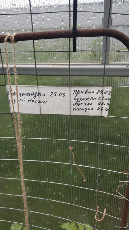 30.jpeg