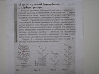 умен.jpg