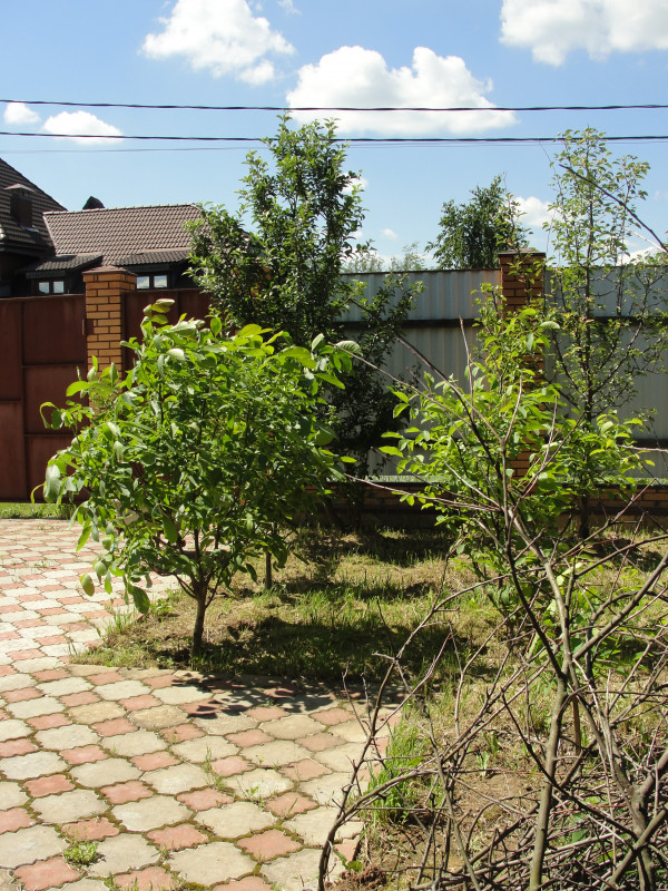 DSC07019.JPG