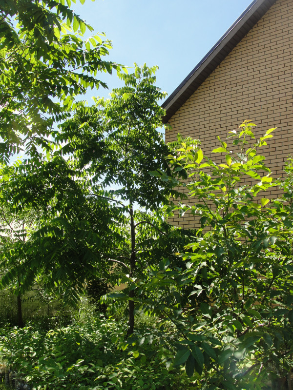 DSC07014.JPG